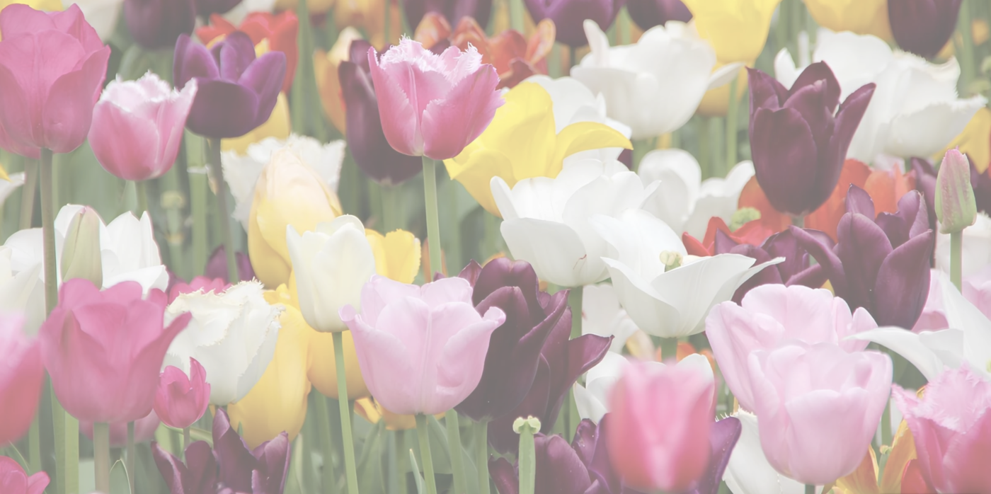 Ménage de printemps Spring Cleaning Oummi Abi Moi